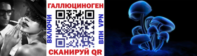 Галлюциногенные грибы Psilocybine cubensis  blacksprut tor  Бологое 